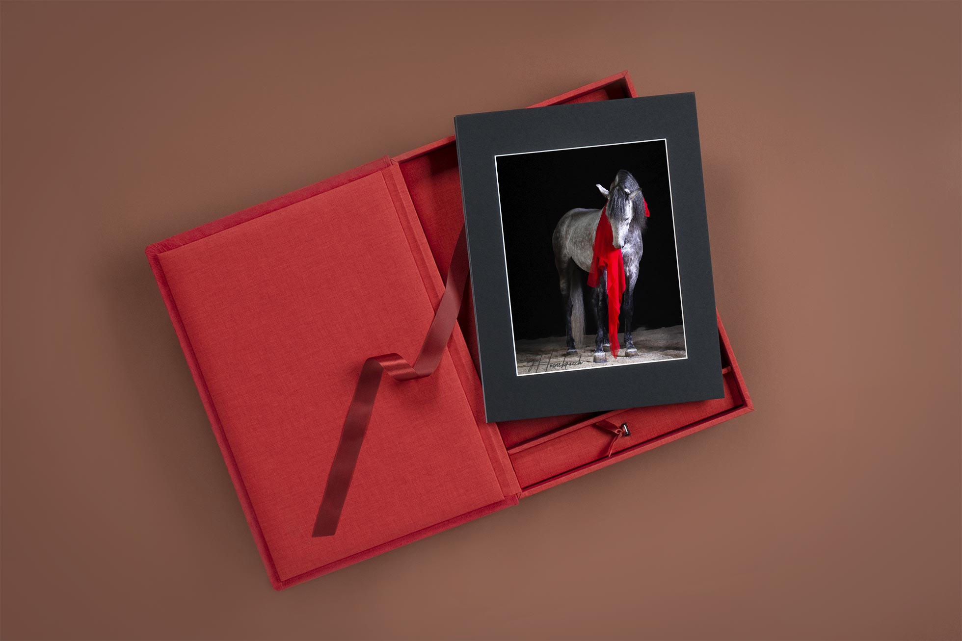 Pferdefotografie Bayern Fotobox mit Passepartouts