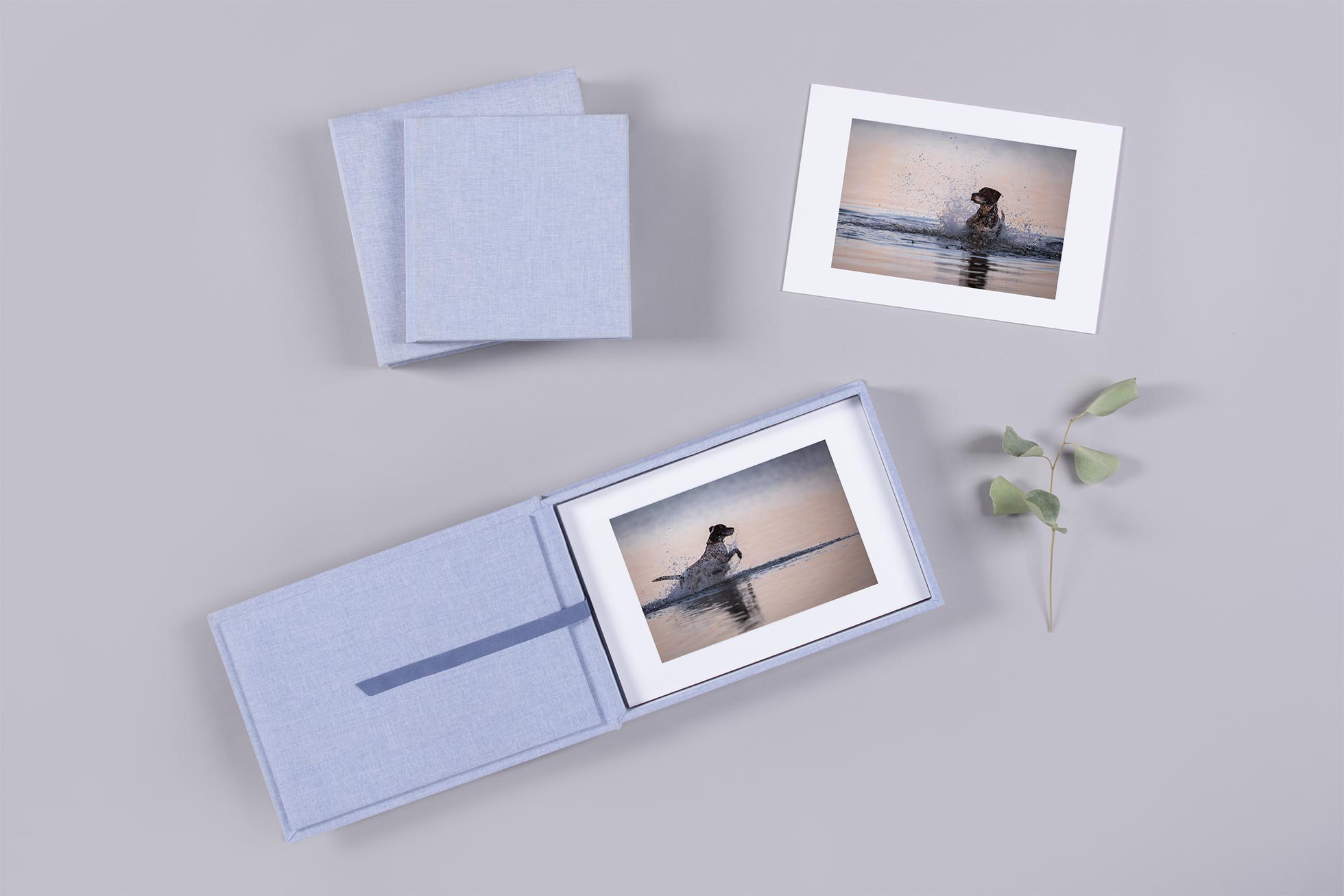 Pferde- und Hundefotografie Bayern Fotobox