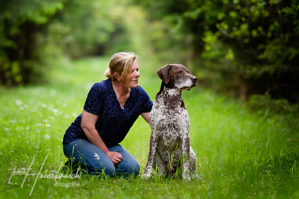 Hundefotografie Bayern Hoensbroech Deutsch Kurzhaar