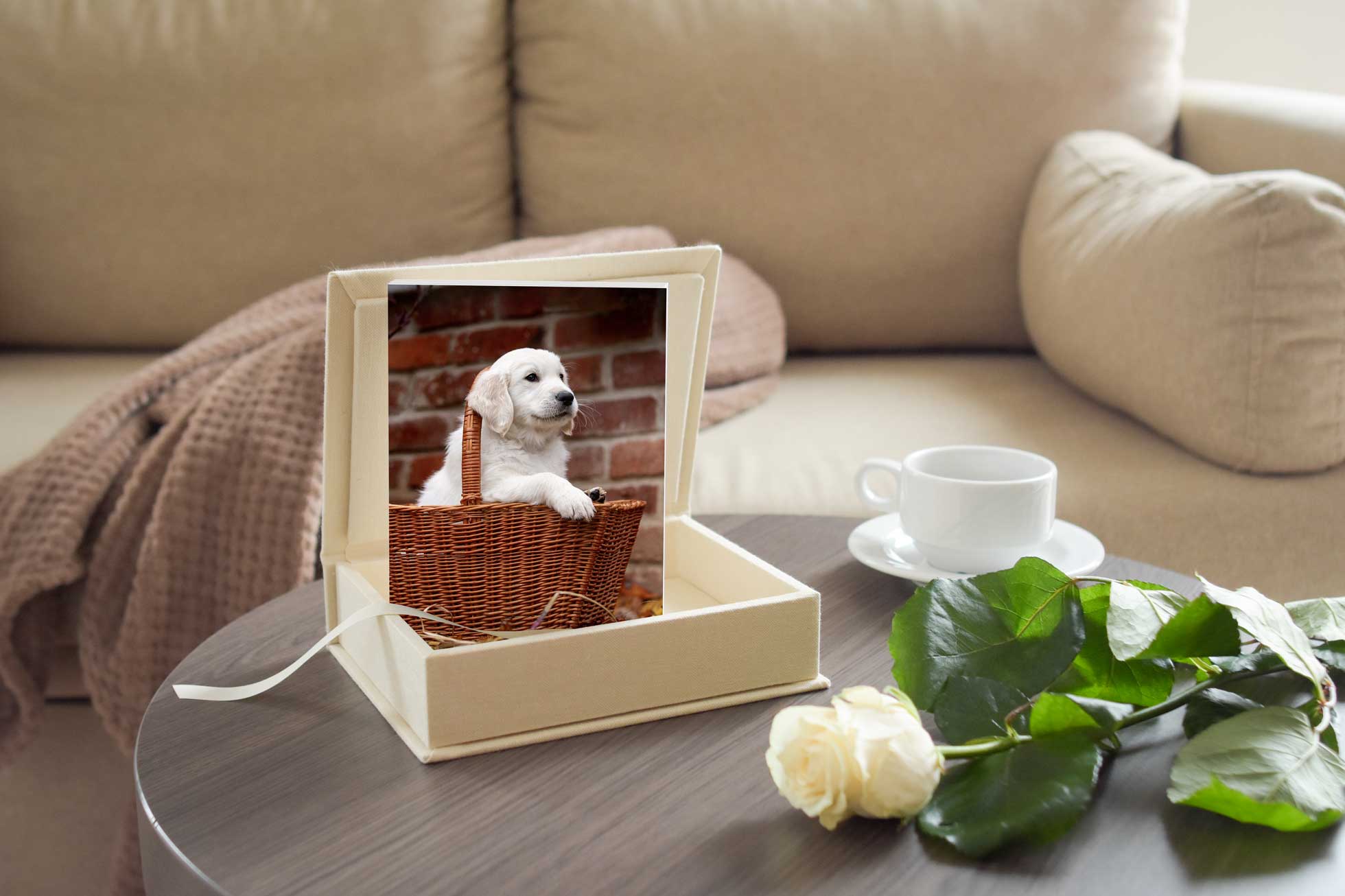 Hundefotografie passepartout in der Folio Box